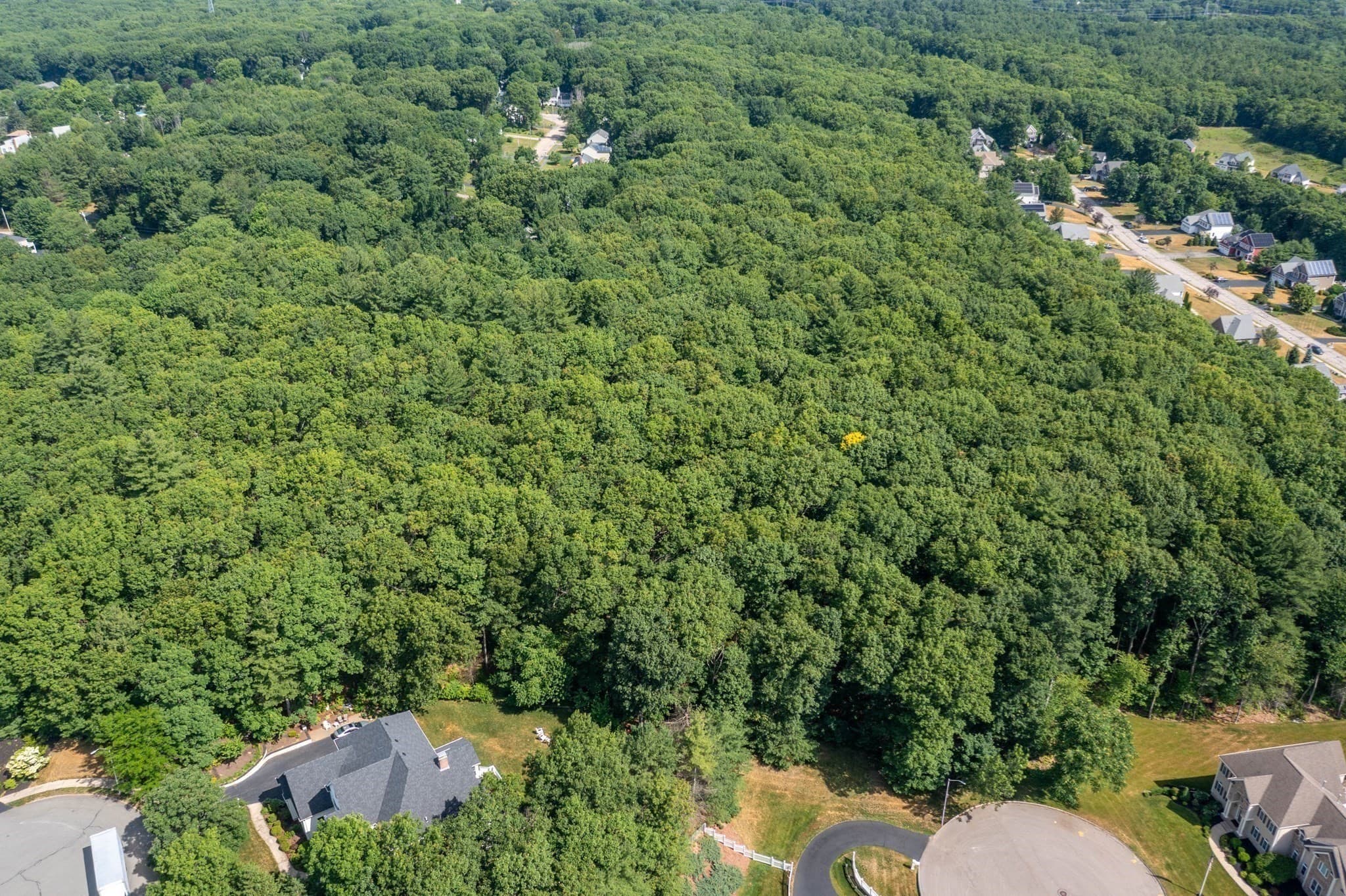 Residential at 0 Symphony Dr, Franklin MA 02038, Franklin, photo 4 of 14