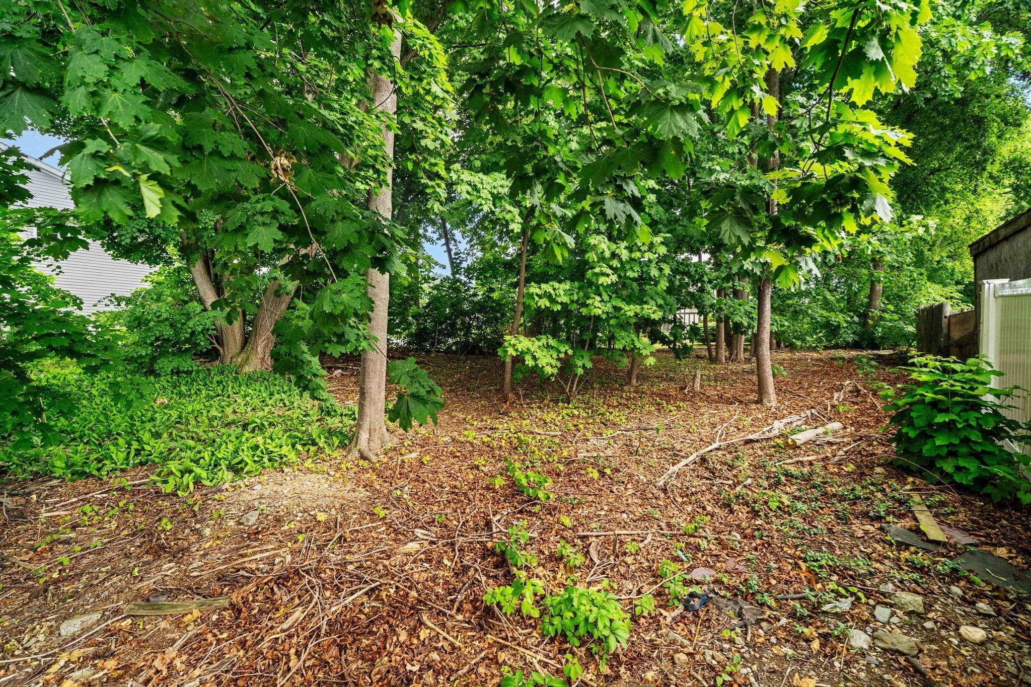 Residential at 239 Nahant Road, Nahant MA 01908, photo 15 of 40