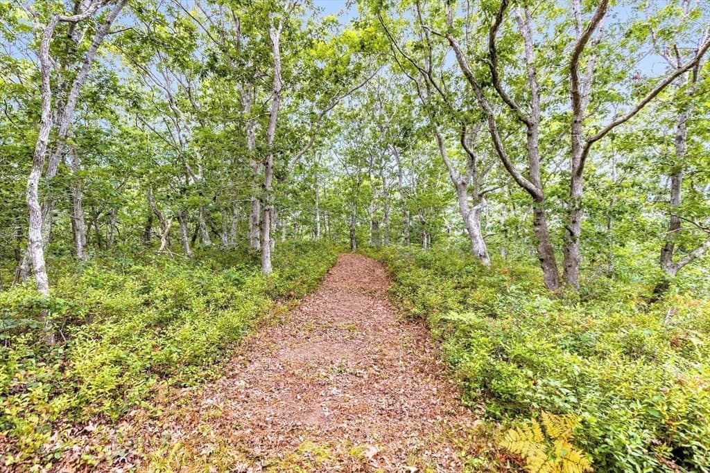 35A Higgins Hollow Rd, Truro MA 02666 photo 7