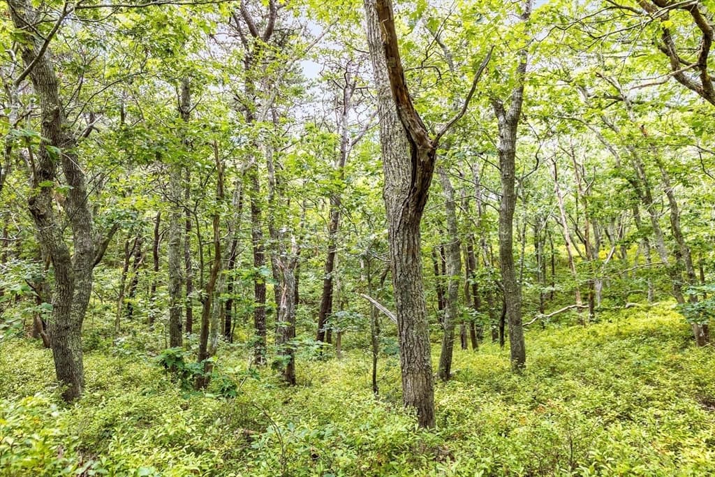 35A Higgins Hollow Rd, Truro MA 02666 photo 8