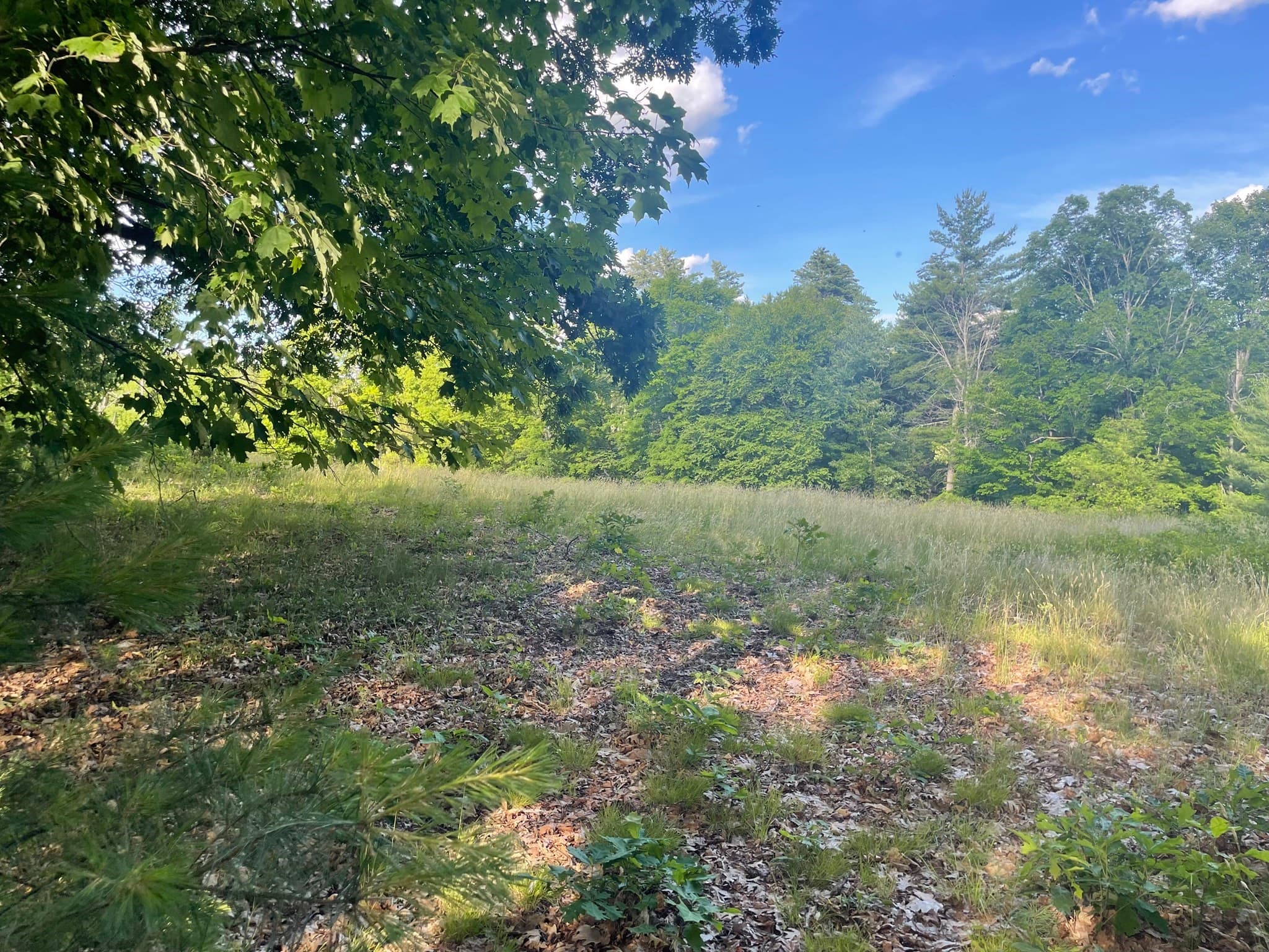 Residential at Lot 0 Mason Rd, Ashby MA 01431, Ashby, photo 3 of 4