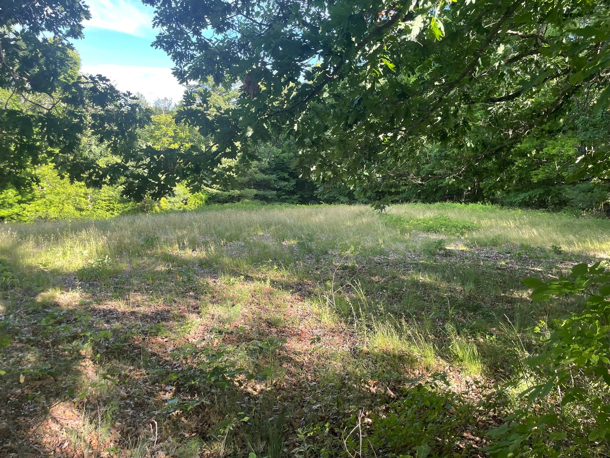 Lot 0 Mason Rd, Ashby MA 01431
