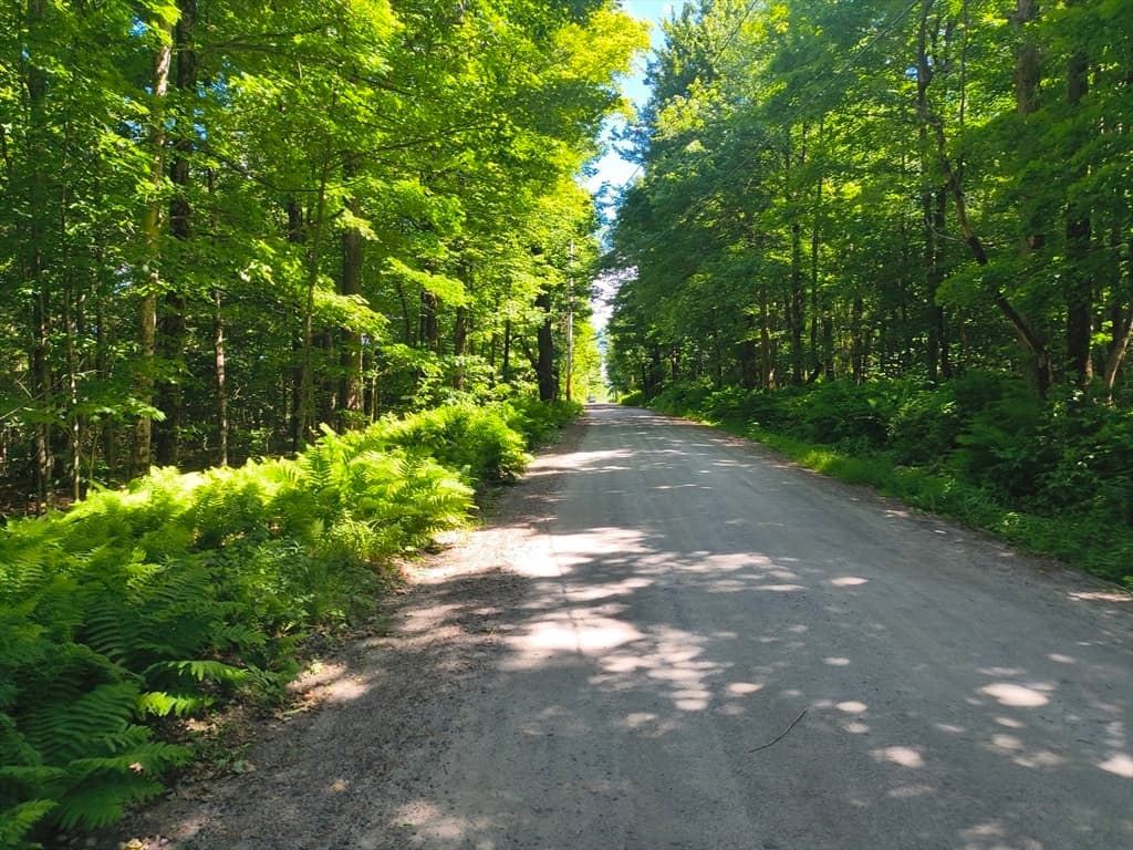 lot1 Holcomb Road, Chester MA 01011