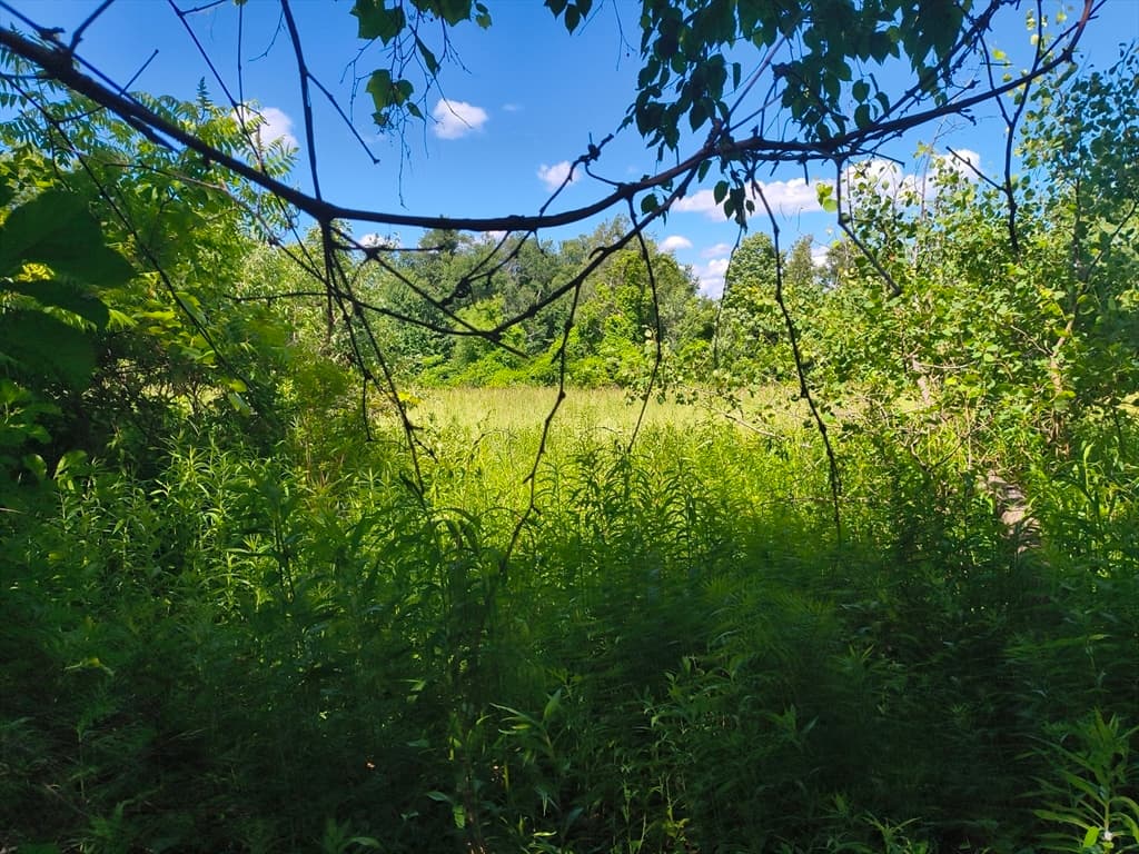 lot 3 Holcomb Road, Chester MA 01011 photo 3