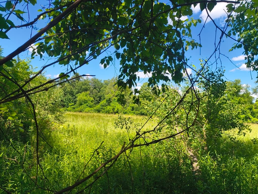lot 3 Holcomb Road, Chester MA 01011 photo 4