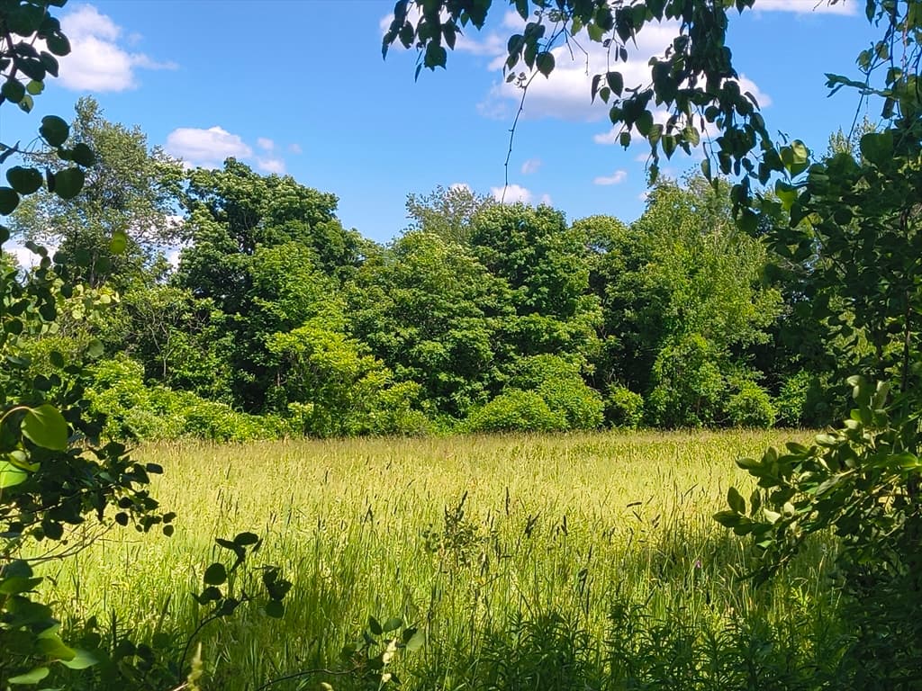 lot 4 Holcomb Road, Chester MA 01011