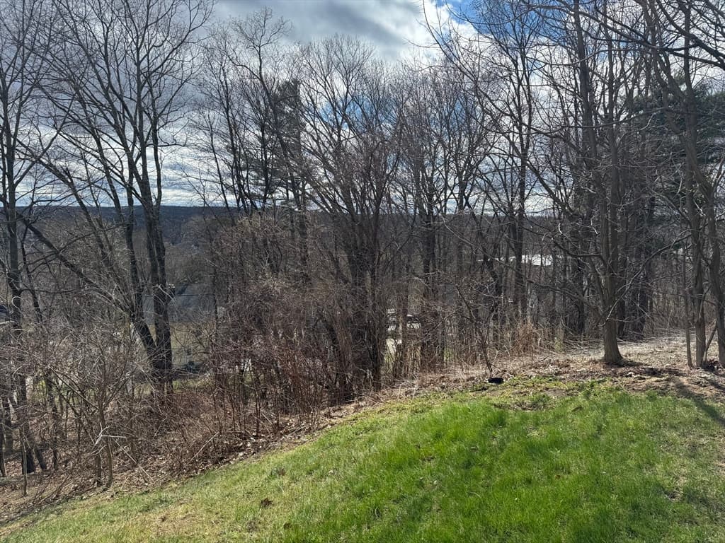 44 Rustic Drive, Worcester MA 01609