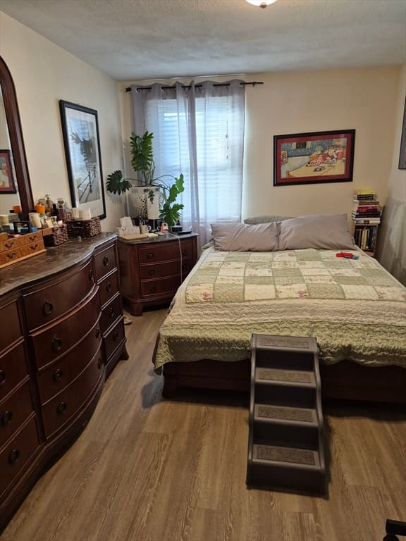 33A Jackson Street # 203, Lynn MA 01902 photo 8