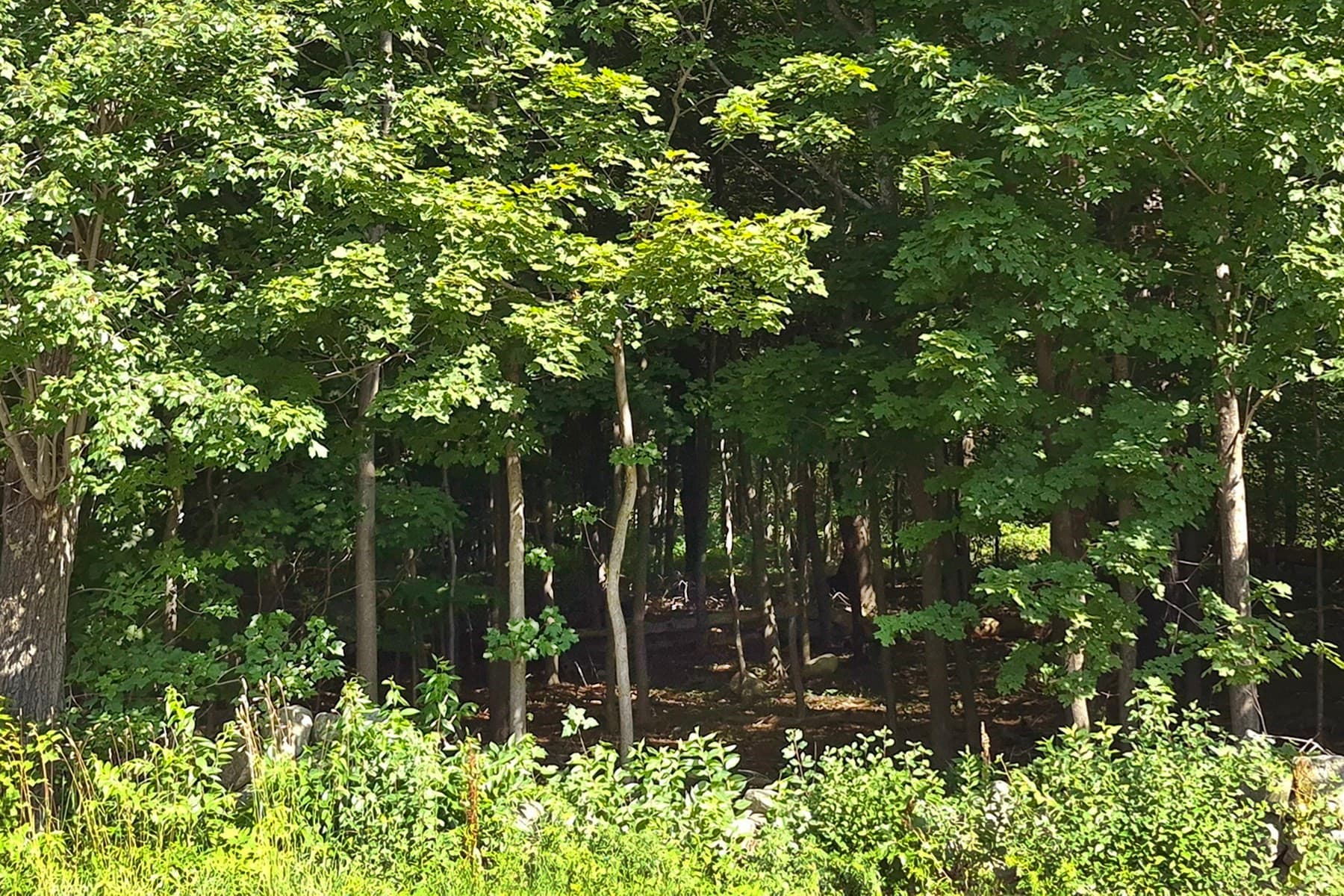 Residential at 125 Topsfield Rd, Ipswich MA 01938, photo 2 of 3