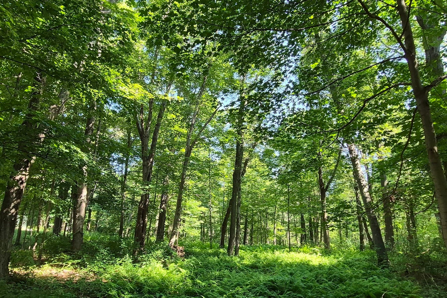 125 Topsfield Rd, Ipswich MA 01938