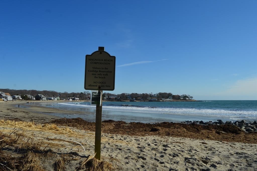 54 Lexington Ave # 32, Gloucester MA 01930 photo 23
