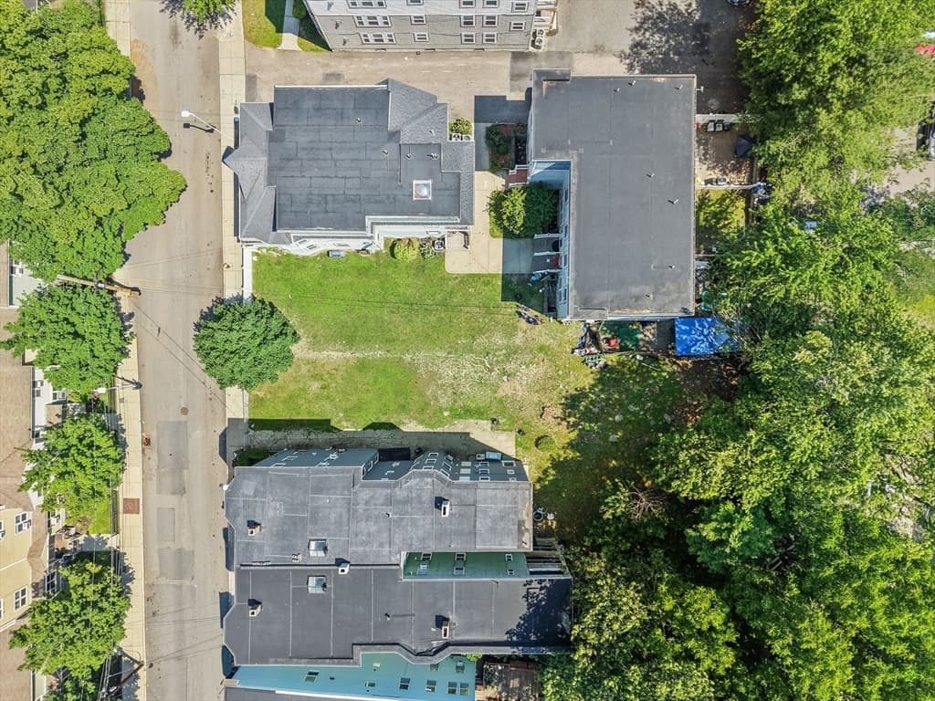 34 Cobden St, Boston MA 02119 photo 4
