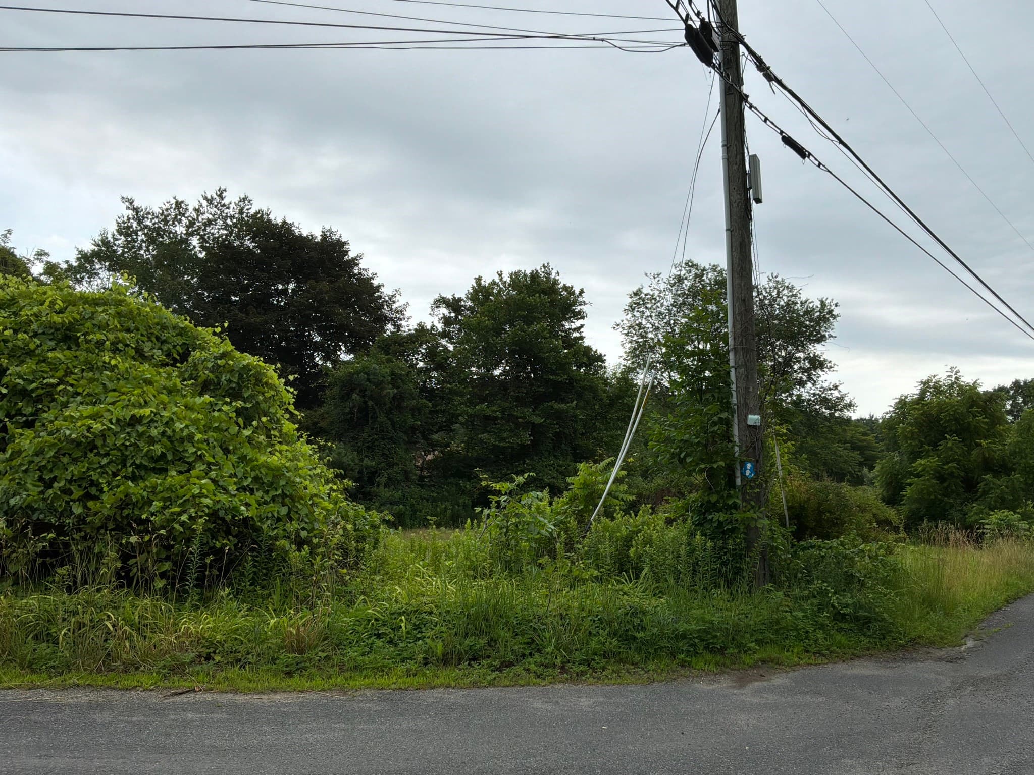 Residential at 0 Boyden Road, Conway MA 01341, Conway, photo 2 of 13