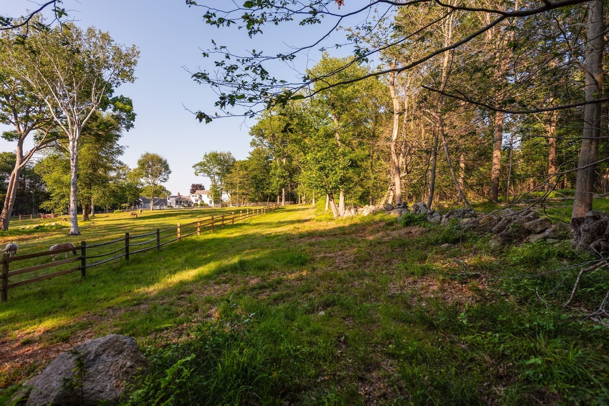 Residential at 0 Belcher St, Essex MA 01929, photo 5 of 24
