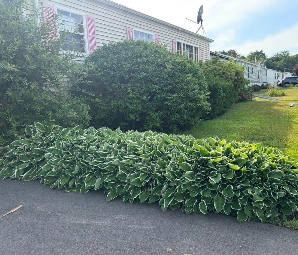 Mobile Home at 18 Tucker Ter, Raynham MA 02767, photo 2 of 14