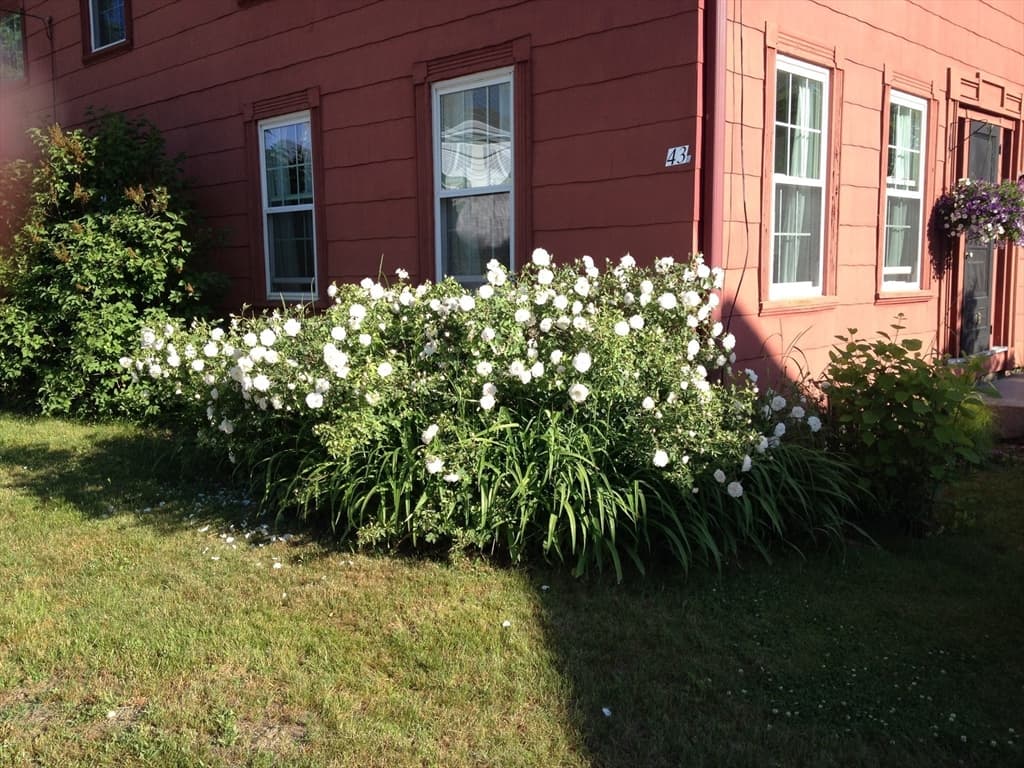 43 Summer St, Barre MA 01005 photo 4