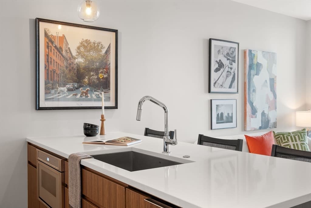 Condominium at 100 Shawmut Ave # 1101, Boston MA 02118, Boston, photo 7 of 22