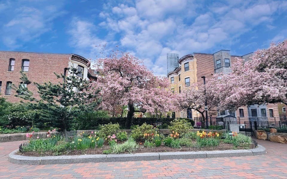 Condominium at 16 Claremont Park # 1, Boston MA 02118, Boston, photo 33 of 41