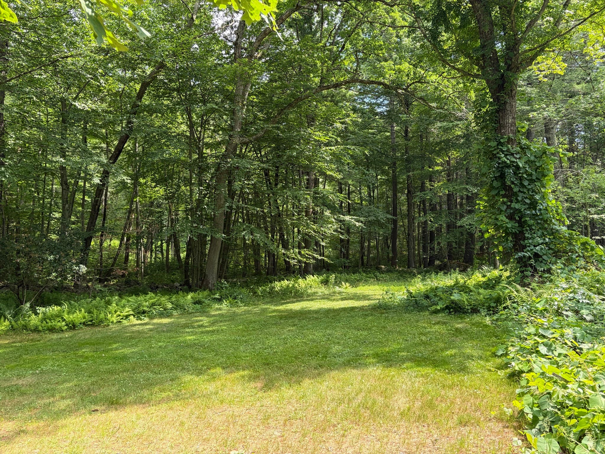 Residential at 0 Judy Farm Road, Carlisle MA 01741, photo 6 of 13