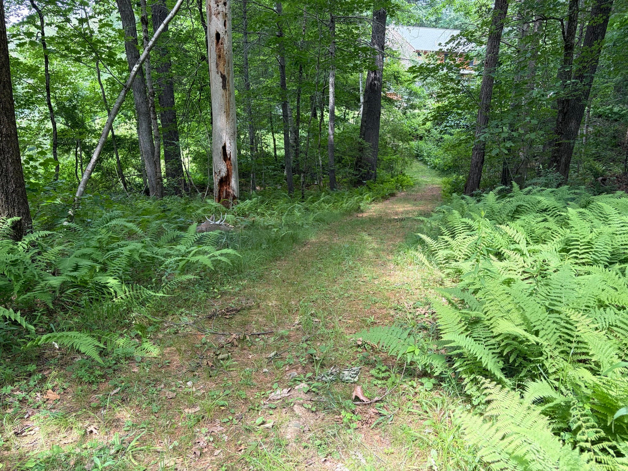 Residential at 0 Judy Farm Road, Carlisle MA 01741, photo 8 of 13