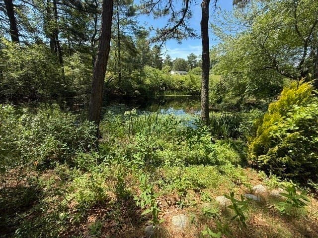 241 Glen Charlie Rd, Wareham MA 02538 photo 32