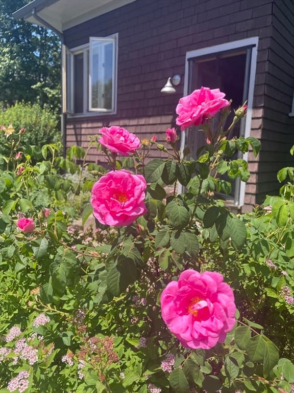 175 Central St, Concord MA 01742 photo 22