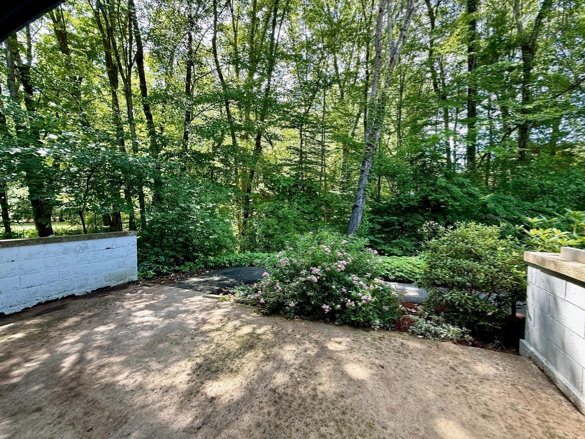 Condominium at 162 Prospect Ave # 7, Northampton MA 01060, Northampton, photo 19 of 22