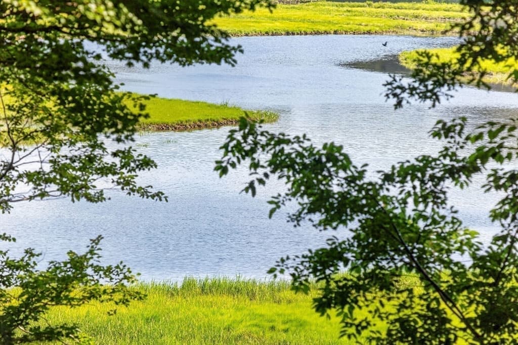 14 Ellen Rd, Bourne MA 02559 photo 37