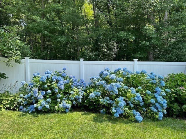 18 Hart St, Burlington MA 01803 photo 7