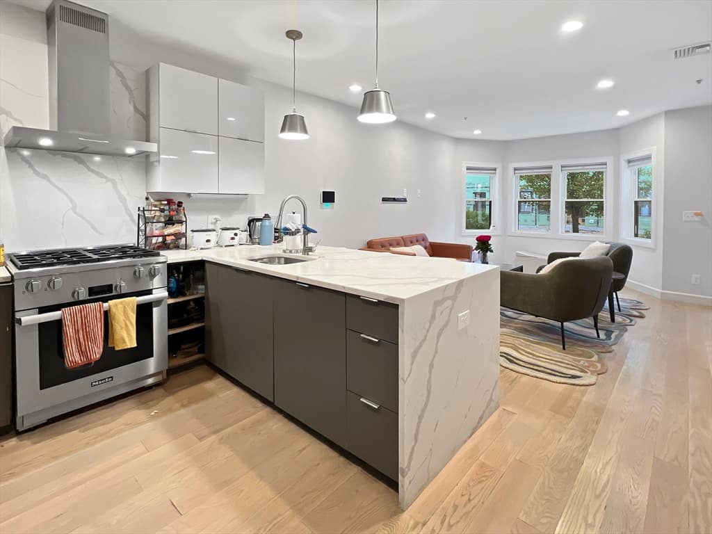 Single Family Residence at 56 Robey St # 56, Boston MA 02119, Boston, photo 10 of 33