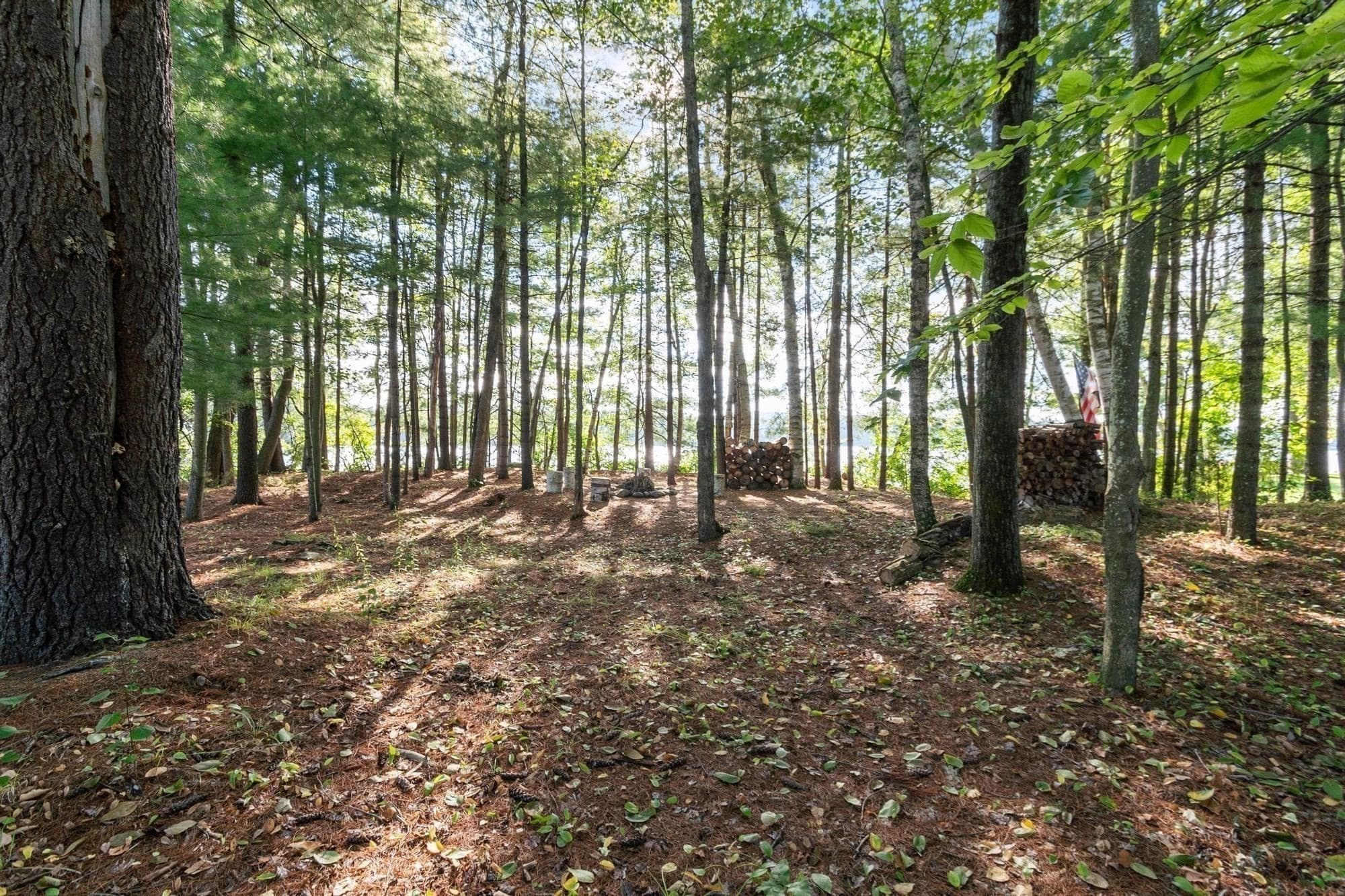 Non-Buildable at 881 Flat Hill Rd, Lunenburg MA 01462, photo 12 of 27