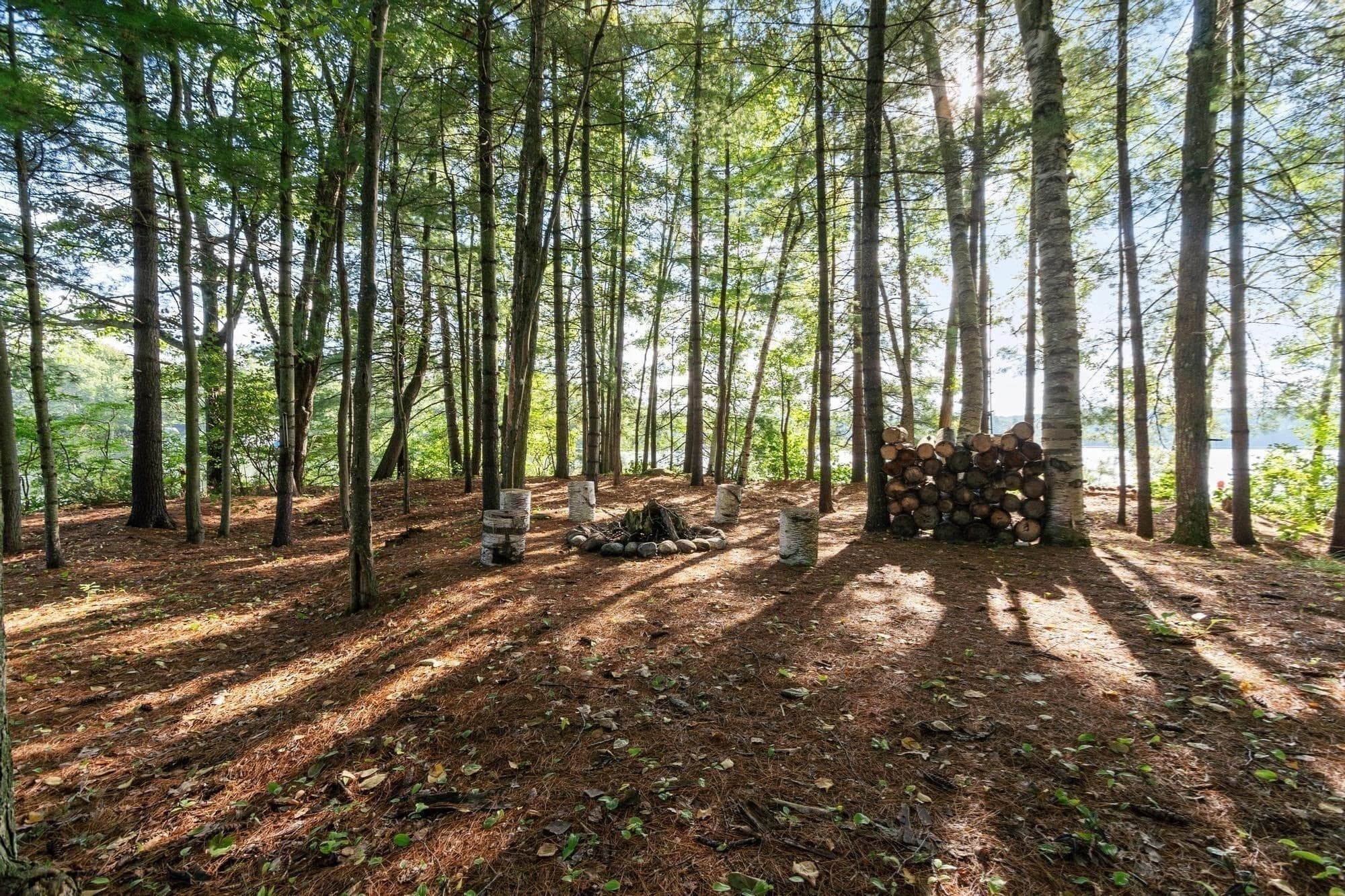Non-Buildable at 881 Flat Hill Rd, Lunenburg MA 01462, photo 10 of 27