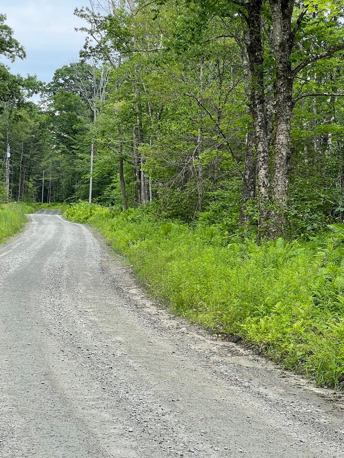 Residential at Lot 21 Becket Rd, Middlefield MA 01243, Middlefield, photo 5 of 5