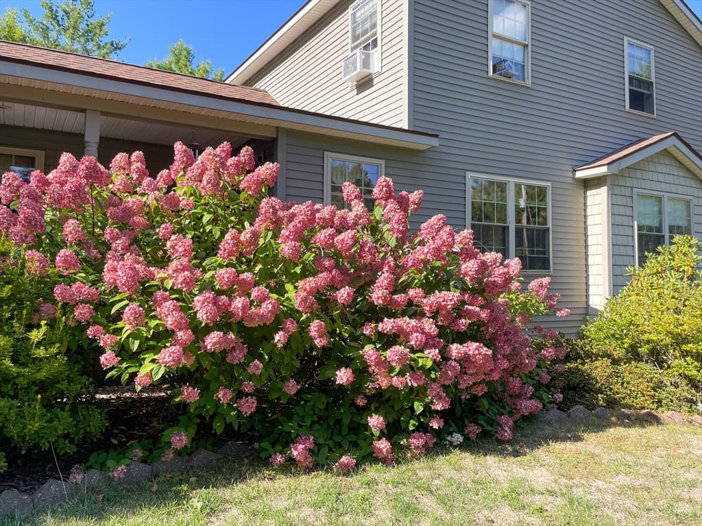 Single Family Residence at 41 Penobscott Ave, Hubbardston MA 01452, Hubbardston, photo 41 of 42