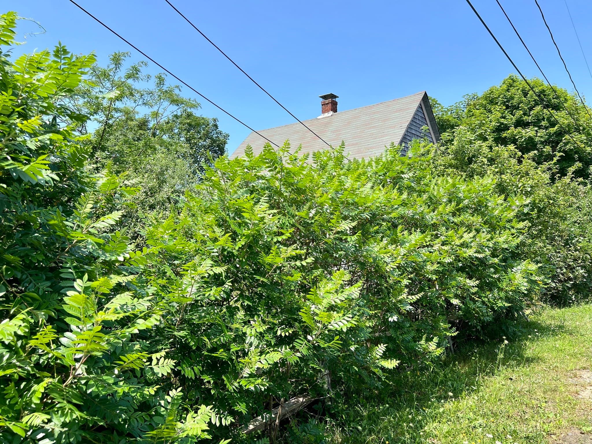 Single Family Residence at 26 Winthrop Ave, Oak Bluffs MA 02557, photo 2 of 28