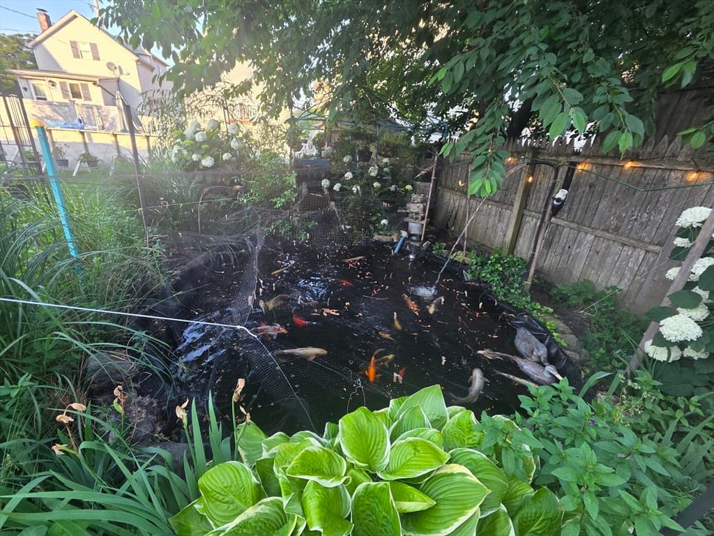 300 Maxfield, New Bedford MA 02740 photo 3