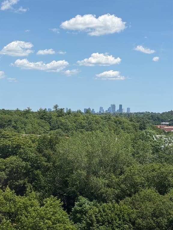 250 Hammond Pond Parkway # 1207S, Newton MA 02467 photo 26