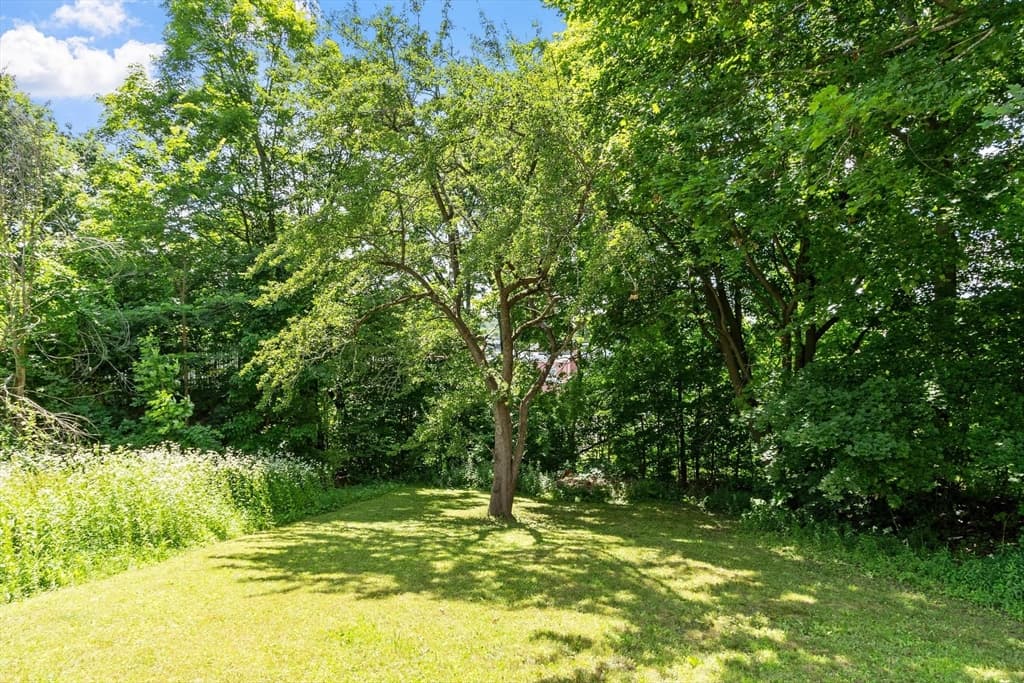 205 Pine St, Gardner MA 01440 photo 5