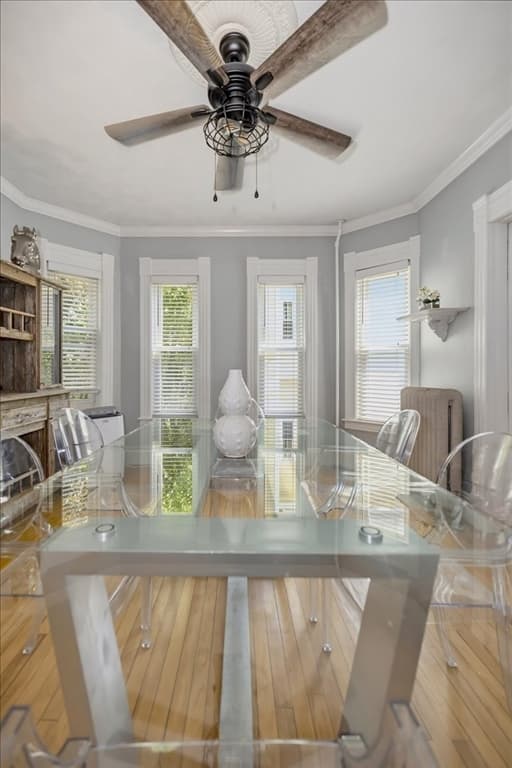 294 Wentworth Ave, Lowell MA 01852 photo 16