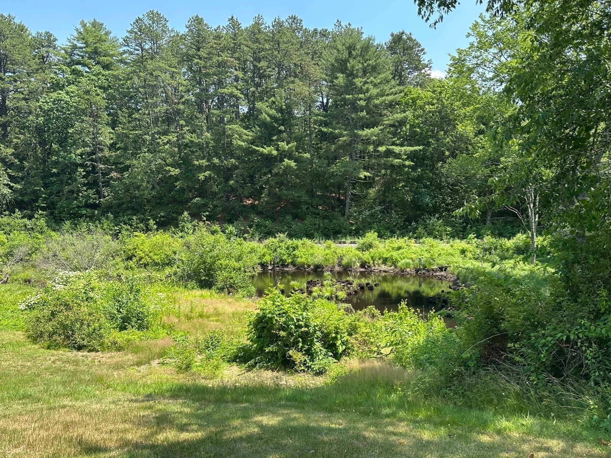 Single Family Residence at 72 Stafford Road, Monson MA 01057, Monson, photo 10 of 37
