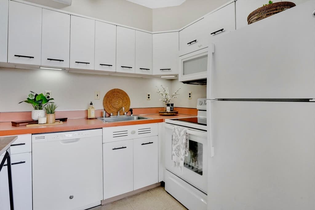 101 Mulberry Street # 519, Springfield MA 01105 photo 6