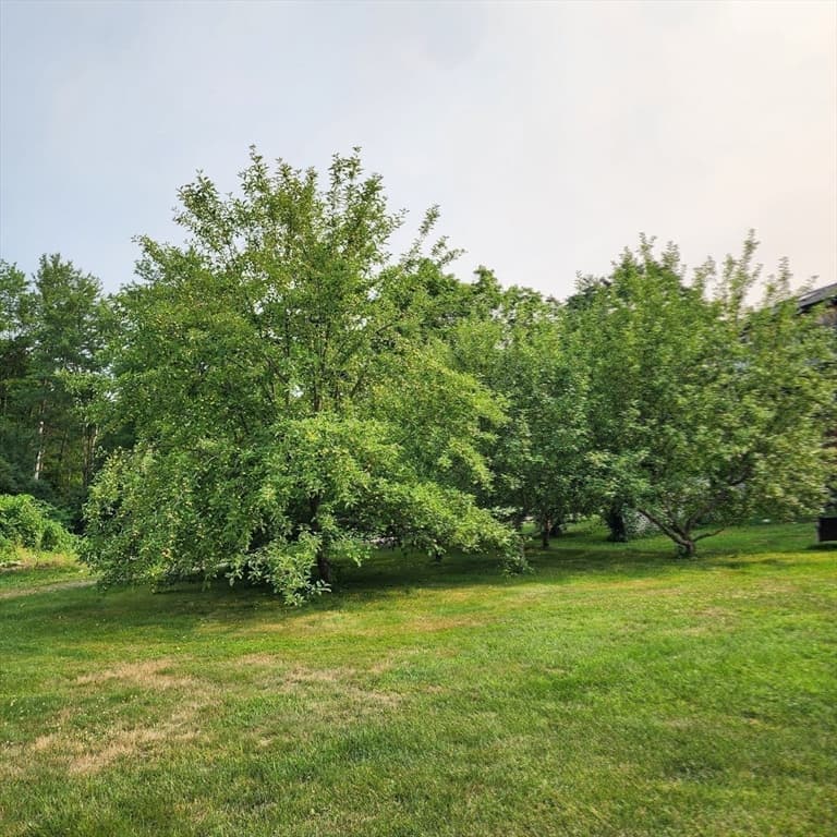 401 N Washington St, Belchertown MA 01007 photo 29