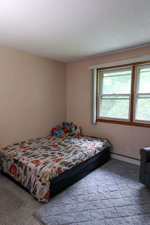 16 Debra Lane, Barre MA 01005 photo 23