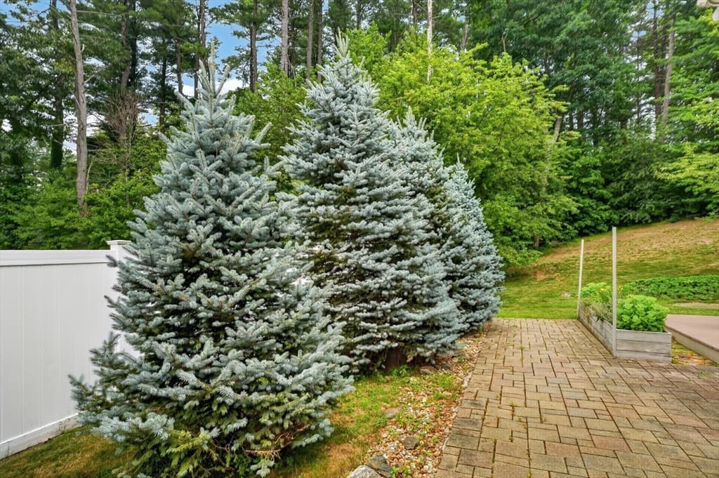 7 Cyrus Way, Northborough MA 01532 photo 27