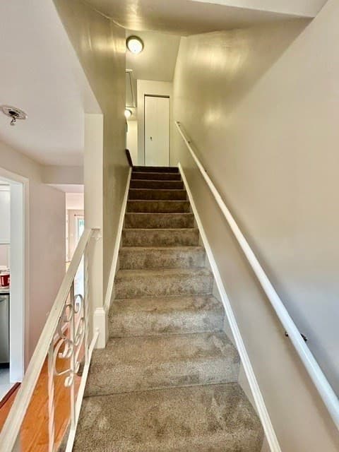 1711 Windsor # 1711, Framingham MA 01701 photo 18