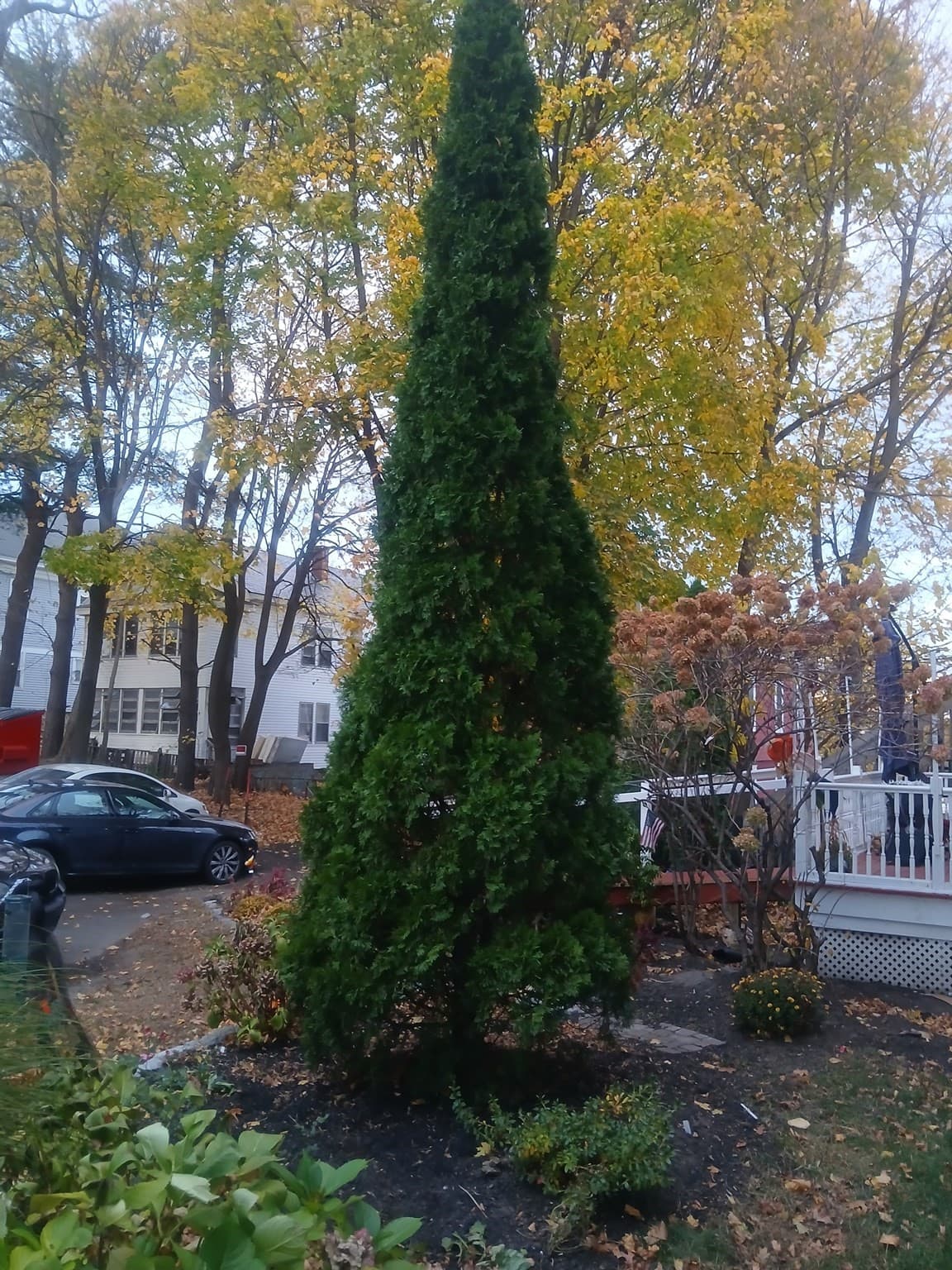 3 Family at 156 Summer St, Fitchburg MA 01420, Fitchburg, photo 17 of 40