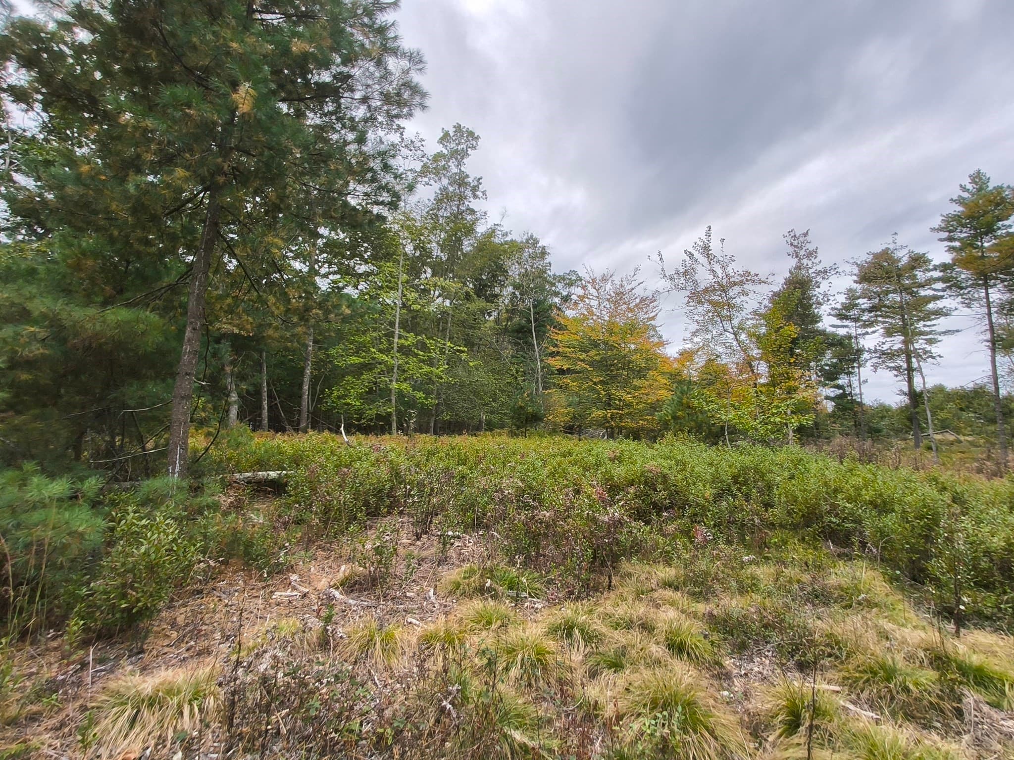 Residential at 0 Cobb St, Norton MA 02766, photo 5 of 5