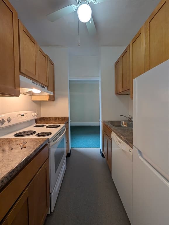 140 Chestnut Street # 0207, Springfield MA 01103 photo 5