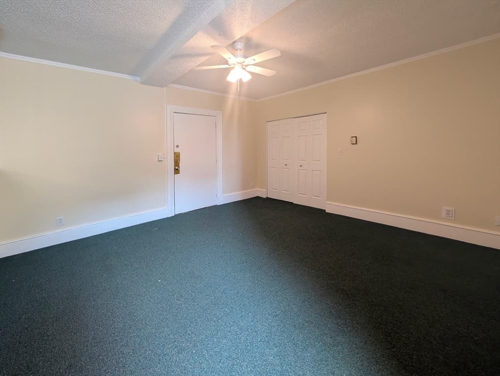 140 Chestnut Street # 0207, Springfield MA 01103 photo 4