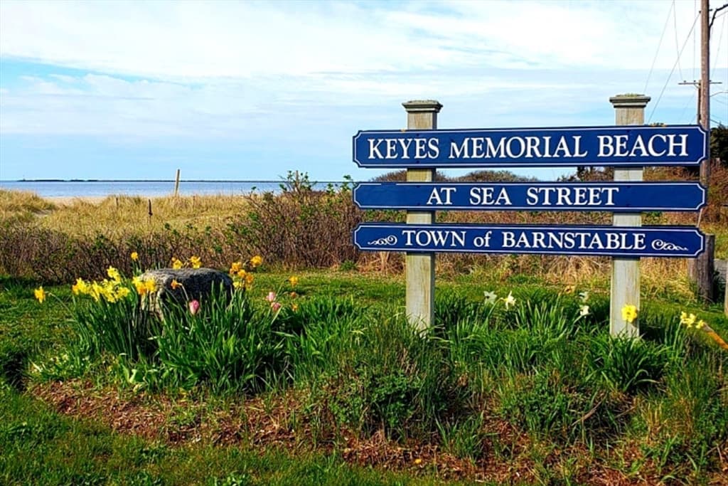 153 Dunns Pond Rd, Barnstable MA 02601 photo 33